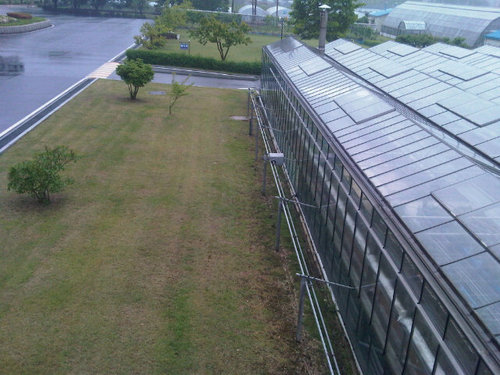 verystrawvery's profile picture. 