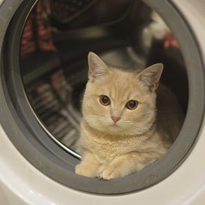 ui_6__'s profile picture. 94年 23.10〜妊活開始 24.4〜🆑 AIH①②③④× ⑤🧚 予定日12月👶