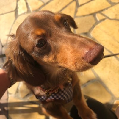 yousuke37sakam2's profile picture. 求人広告の営業兼代理店担当をしております。求人広告のリアル情報をツイートします。23年目標:1000フォロワーは、2月26日に達成！次は年内1万人フォロワー！