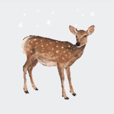 Mincさんのプロフィール画像