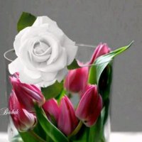 Haedr (@haedr18395230) 's Twitter Profile