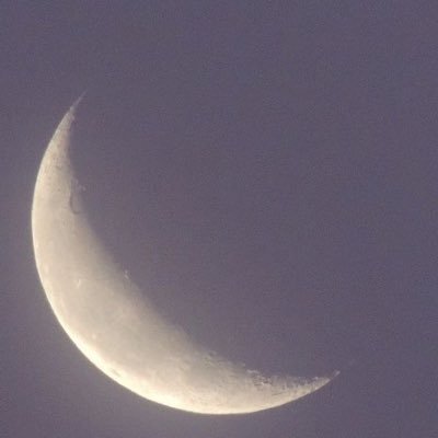 yøneさんのプロフィール画像