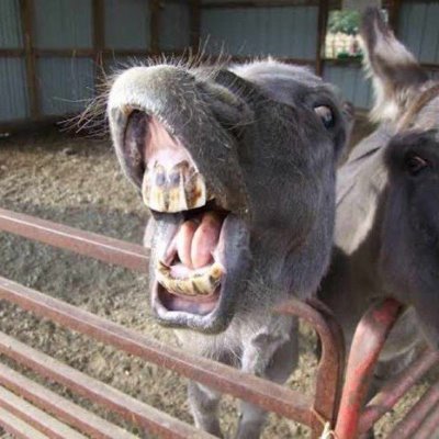 varinopisa's profile picture. i write what i like