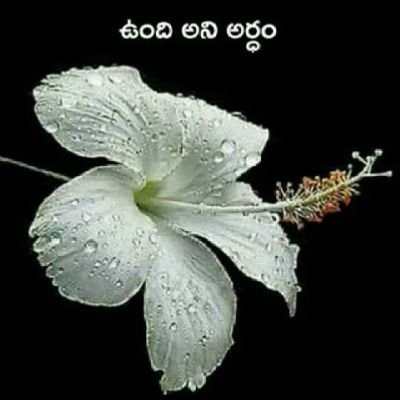 అందరూ బాగుండాలి.......అందులో నేను ఉండాలి