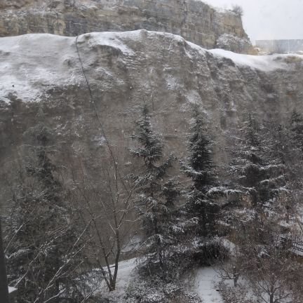 saker1988's profile picture. 