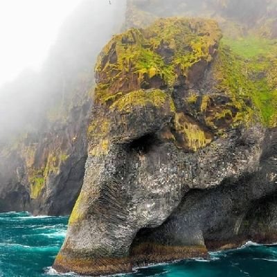 PUJADAS19171025's profile picture. i can and i will do.... 🔥🔥🔥🔥🔥