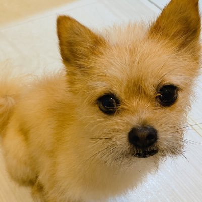 KpLC11sZ3D9z0nv's profile picture. 転勤で今は沖縄に住み波乗り、酒、キャンプ、ゴルフを楽しみ、たまに九州、関東に出没します。無言フォロー失礼します