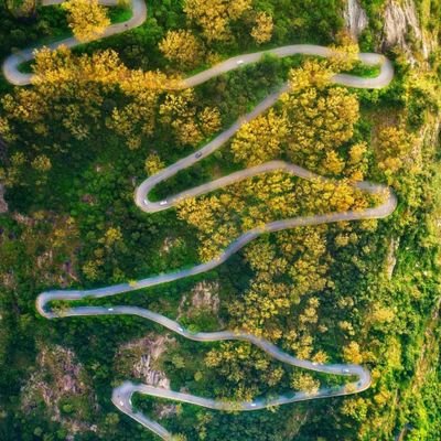 balajiragu22's profile picture. 