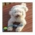 W Ciaravino (@letsgotech) Twitter profile photo W Ciaravino (@letsgotech) Twitter profile photo