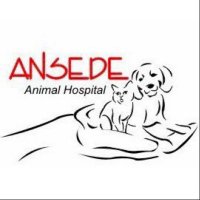 Ansede Animal(@AnimalAnsede) 's Twitter Profile Photo