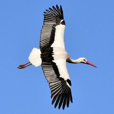 viewfrom070's profile picture. 