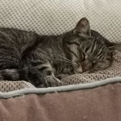 Natasa62433126's profile picture. Gib jedem Tag die Chance, der schönste deines Lebens zu werden.
                         Mark Twain