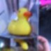 DickoNSFW (@dickonsfw) Twitter profile photo DickoNSFW (@dickonsfw) Twitter profile photo