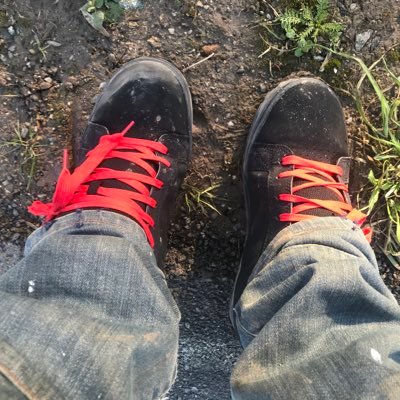 frank_kif's profile picture. Adaptability, resilience, nature, nutritionist, low carber, keto, regenerative agriculture.