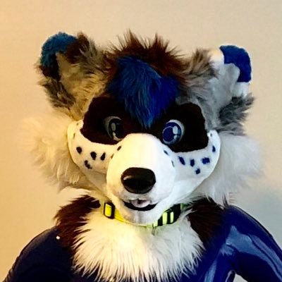 Welcome! Dutch raccoon here! Mostly into fast and cool cars, some audio stuff, fursuiting , beer and dogs. @furitup and soon @fursuitsbylacy suiter 🦝🦊🦮