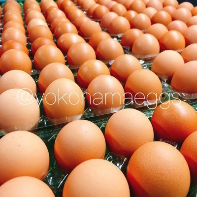 yokohamaeggs Profile Picture