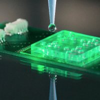 Leibniz Center for Photonics in Infection Research (@lpi_jena) 's Twitter Profile