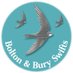 Bolton & Bury Swifts (@bandbswifts) Twitter profile photo