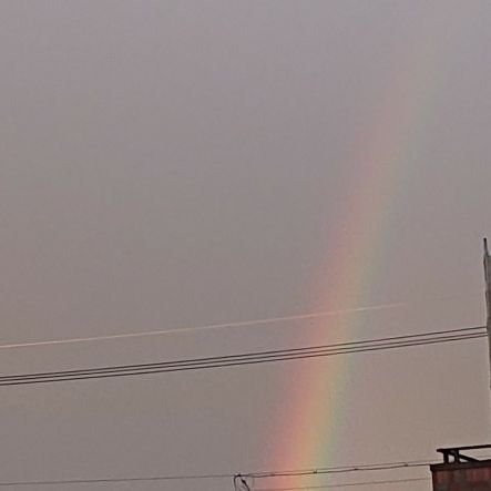 numayuna0205's profile picture. 