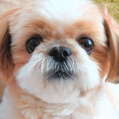 rI2GyJIDbAYC39S's profile picture. 