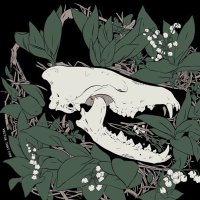 Vector That Fox (@vectorthatfox) 's Twitter Profile Photo