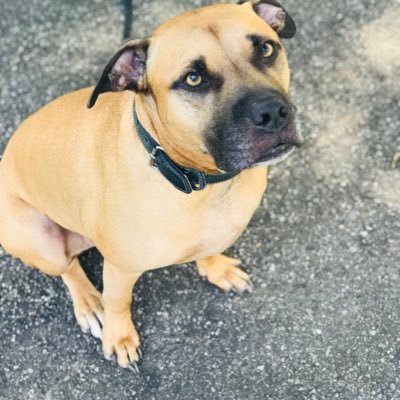 ann_kmmm's profile picture. Personal blog