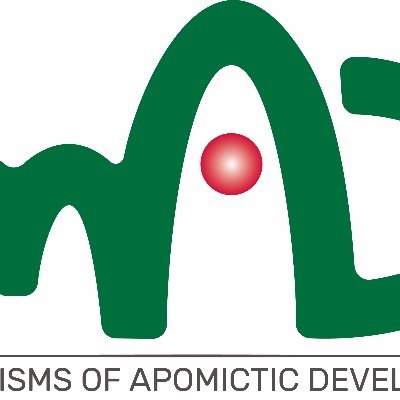 Mechanisms of Apomictic Development (MAD) is a MSCA Research and Innovation Staff Exchange, funded by the EU H2020 Research and Innovation.