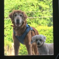 Andrew Turner (@refturner) 's Twitter Profile Photo