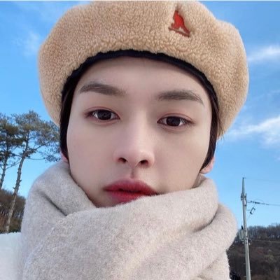 serinelhy_hei's profile picture. You make stray kids stay💗 #ot8