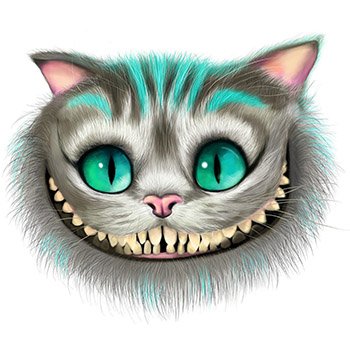 menzhiliy's profile picture. $FURY @fury_xrpl