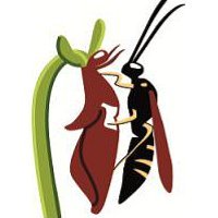 Kent Field Club (@kent_field) 's Twitter Profile