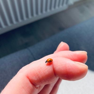 AlexxxSp's profile picture. I can't go back to yesterday because I was a different person then.