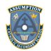 Principal Assumption CSS (@ClarkMcdougall) Twitter profile photo