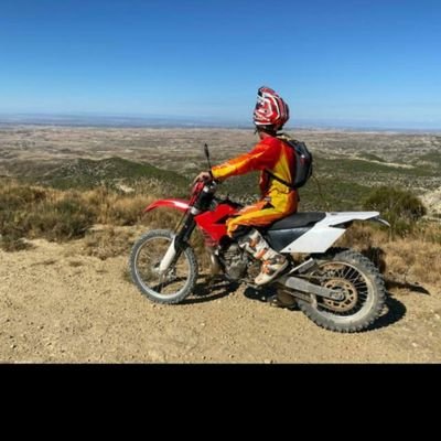 javivik's profile picture. 