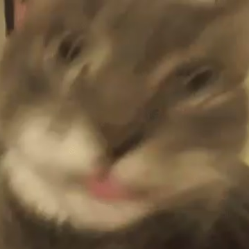 angrywojak's profile picture. ultra crapposting, low tier loser!