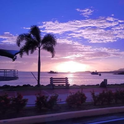 VioletteAlbert8's profile picture. Jésus est mon Espoir 💪