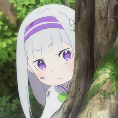 南アルプスの天然パーマさんのプロフィール画像