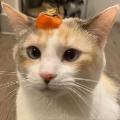 nickycab08's profile picture. 21