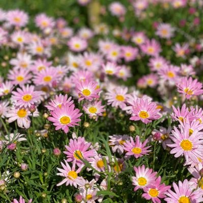 gdCkn9wFBp4Osrp's profile picture. 