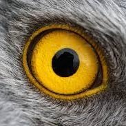 Your bird's-eye view for stocks, markets, trades, and macro-global insights🦅
#Stocks #Investing