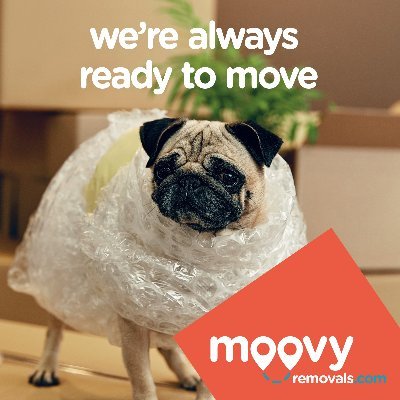 Moovy Removals