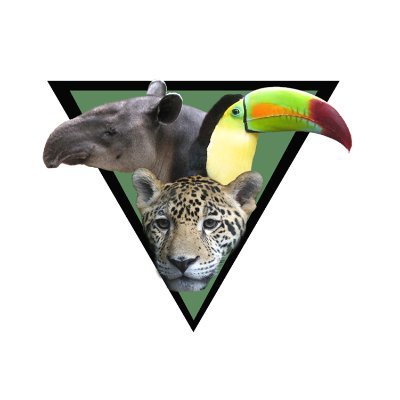 The Belize Zoo was founded in 1983 by Sharon Matola. It is home to more than 175 animals of about 45 species, all native to Belize.