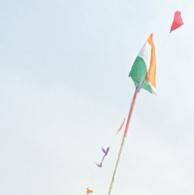 SANNIKU87839202's profile picture. 