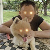 Cory | UwU (@cheshirebat) 's Twitter Profile
