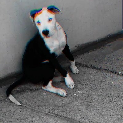 meet_weed's profile picture. 