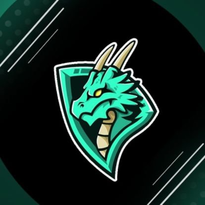 Styli Esport Profile