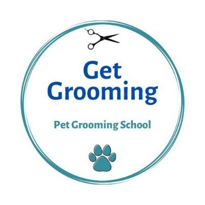 Based in Kent, we provide cat and dog grooming courses and qualifications for all levels of groomers.
Learn to groom with us!