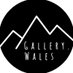 Gallery Wales (@gallery_wales) Twitter profile photo