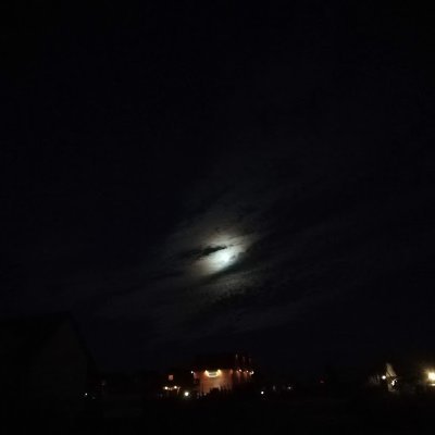 Viktori77837934's profile picture. 