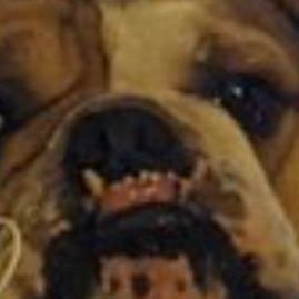 celinathegaut's profile picture. ~ she/her ~ yelling into the void ~